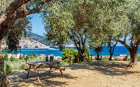 Olive Grove Apartment