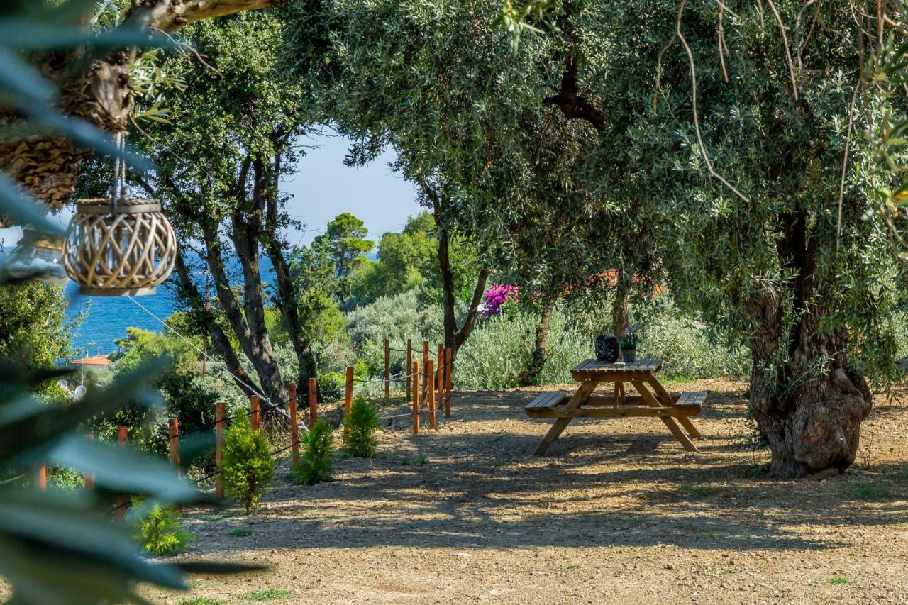 Olive Grove Apartment Skopelos Town Exterior photo