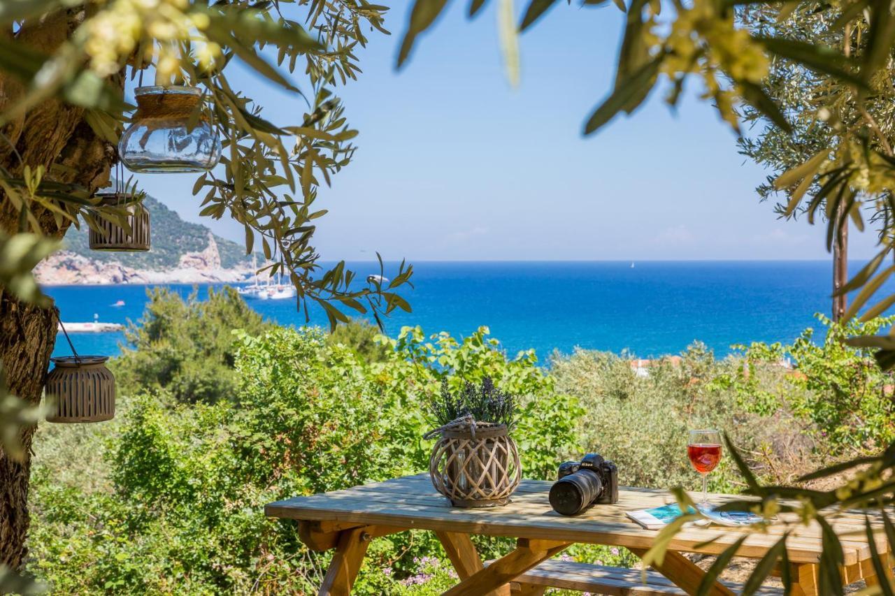 Olive Grove Apartment Skopelos Town Exterior photo