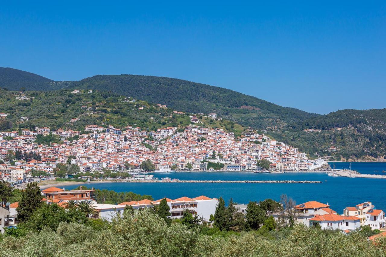 Olive Grove Apartment Skopelos Town Exterior photo
